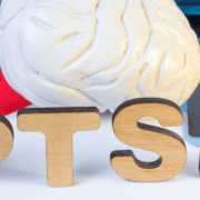 Navigating PTSD After a Serious Car Accident in Kankakee, IL